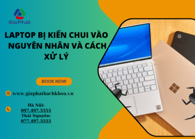 Laptop bị kiến chui vào